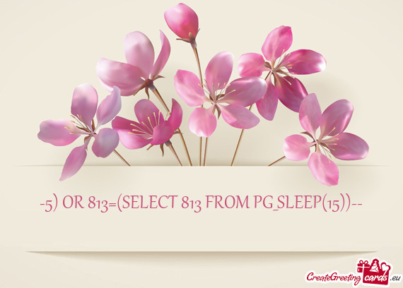 5) OR 813=(SELECT 813 FROM PG_SLEEP(15))